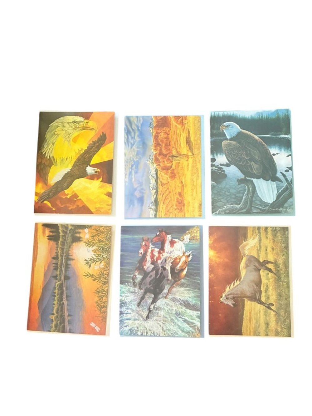 VINTAGE Variety 6-Pack Leanin’ Tree Birthday Cards +✉  Native American‎ Horses